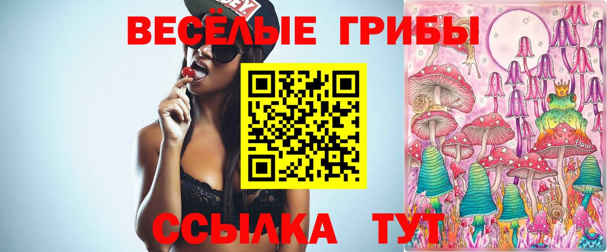Зима  Галлюциногенные грибы мицелий  Вход с VPN  Псилоцибиновые грибы мицелий 