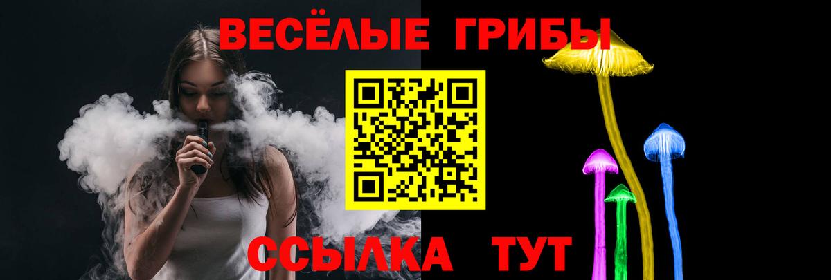 Галлюциногенные грибы Psilocybine cubensis Зима
